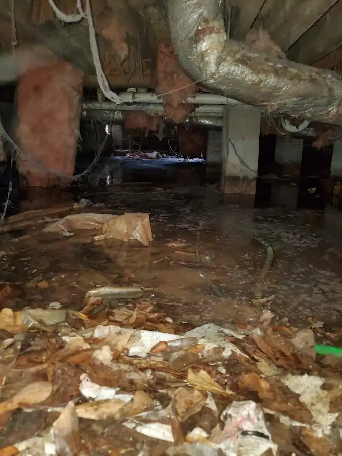 Crawl space flood assessment for Leak Detection & Repair in Kailua
